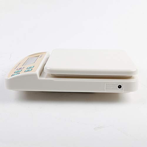 Counting Baking Food Weighing Scales Laboratory Balance Scale