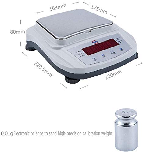 Electronic Scales High Precision Jewelry Scales 0.1g Laboratory Precise Analytical Balance Precise Electronic Balance (White 500g/0.1g)