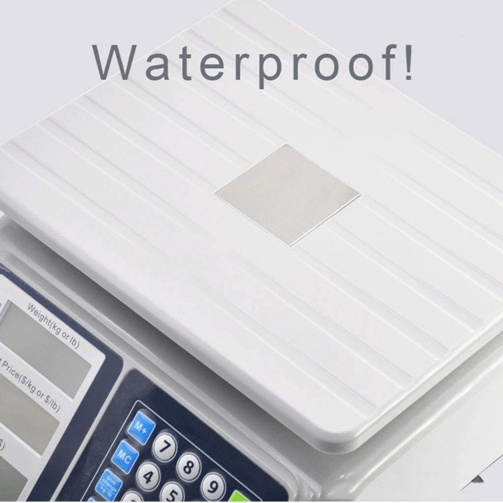 Electronic Scales 30kg High Precision Digital Price Parts Counting Inventory Industrial Postage Digital Scale Laboratory Analytical Balance