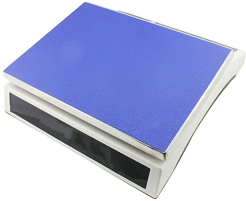 Electronic Scales High Precision 0.1g Digital Lab Electronic Scale Industrial Coin and Parts Counting Scales Laboratory Analytical Balance(3kg/0.1g)