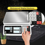 Digital Counting Scale Precision Parts Coins Counting Scale Electronic Gram Scale Lab Industrial Counting Scale Digital Balance (30kg/1g)