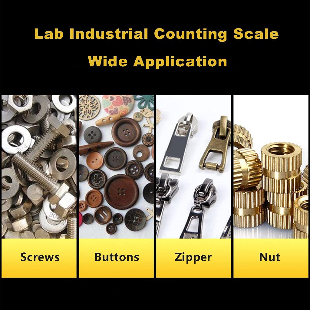 Digital Counting Scale Precision Parts Coins Counting Scale Electronic Gram Scale Lab Industrial Counting Scale Digital Balance (30kg/1g)