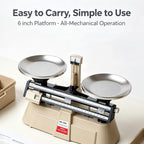 Double Pan Balance Scale-Precision Mechanical Scales, Weighing 0.1g - 2000g