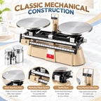 Analytical Double Pan Scales, Double Pan Balance Scale with 0.1g Graduation, 2000g Capacity, Zero Adjustment and 4-piece Weight Set, for Physics Chemistry Experiments, Classroom Teaching