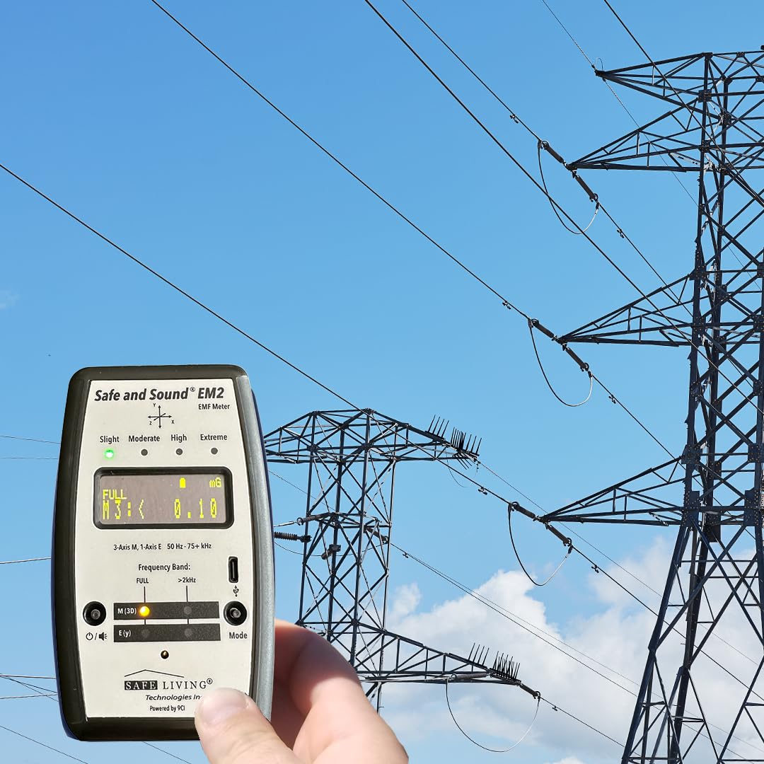 Safe Living Technologies Safe and Sound EM2 EMF Gauss & Electric Field Meter