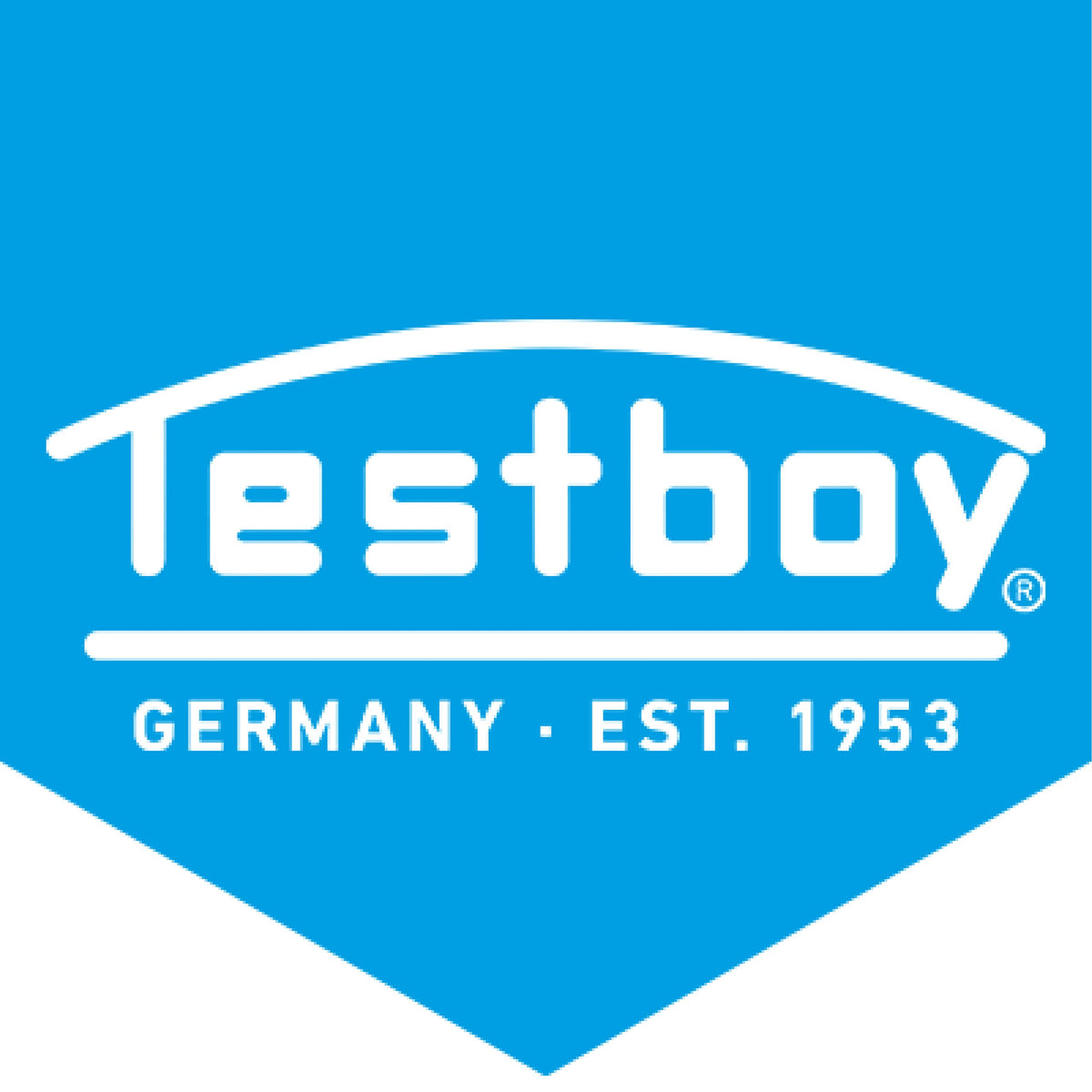 Testboy Wallbox Tester (Testboy TV 950) - Device for Type 2 Charging Stations and Wallboxes, Diagnostic Functions, Conformity Tests, Phase Display, Suitable for All Models